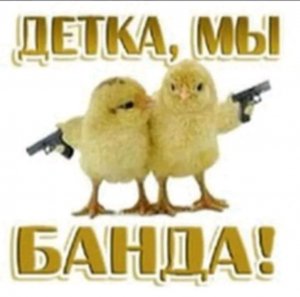 Гоша вышел на связь канал дабл три