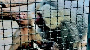 ЗДОРОВО! Лида ЖДЕТ МАЛЫША, а Люся просто купается во внимании Елисея!!!