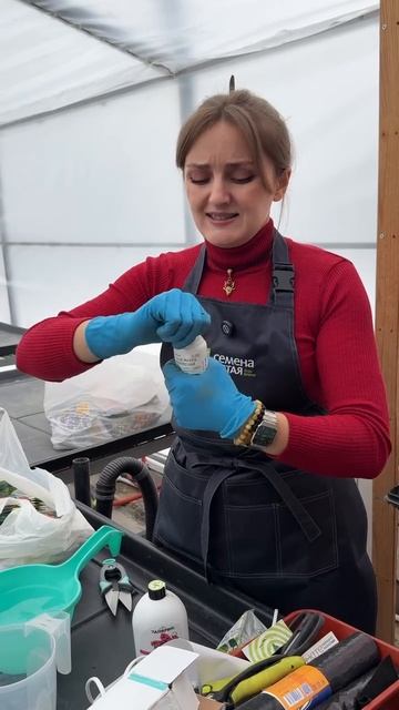 ДЕФИЦИТ МАГНИЯ НА РАСТЕНИЯХ смотреть онлайн