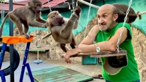 Степа ВКЛЮЧИЛ ГАМАДРИЛА, а Тося устраивает скандалы, нам с Маней не дают пообщаться)