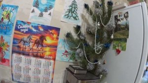 Урядили Ёлку