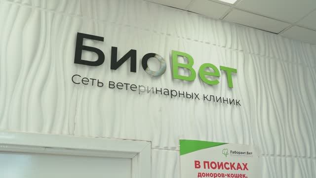 БИОВЕТ | Сеть ветеринарных клиник смотреть онлайн