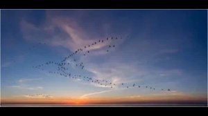 Сквозь Вечность Музыка