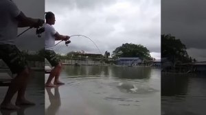 Что за спиннинг такой. У меня есть подозрение, что это титан.💪  спиннинг!