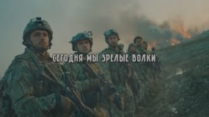 СЕГОДНЯ МЫ ЗРЕЛЫЕ ВОЛКИ