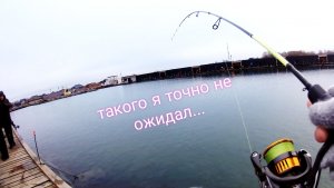 Такого МОНСТРА на бесклёвье не ждал никто! ФОРЕЛЕВАЯ РЫБАЛКА.