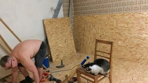 Постриглась, покрасилась! Дела движутся.