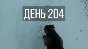 День 204