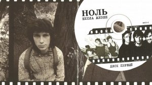 ШКОЛА ЖИЗНИ (гр. Ноль) / Разбор на гармони по цифрам на заказ