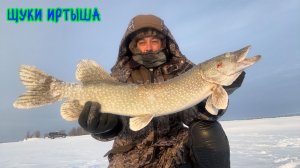 Щуки Иртыша #рыбалка #deeper #зимняярыбалка #щука #pike
