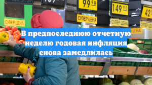 В предпоследнюю отчетную неделю годовая инфляция снова замедлилась