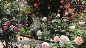 сад🐞🐞🐞🐝