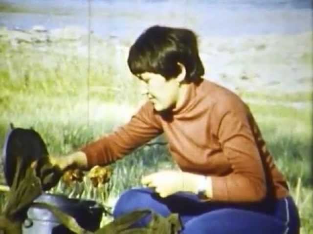 Пикник на Орхоне