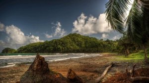 любовь - волшебная страна