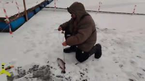 25.12.25 г.РК Волна.