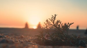 Дагестан 2025