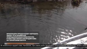 Новости ИРТ 24-12-2025