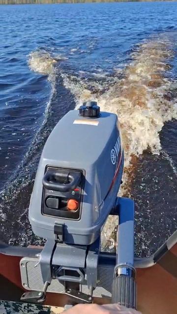 Лодочный мотор Yamaha 3, Флагман ДК 430 игла Ultra, загрузка 120 кг. смотреть онлайн