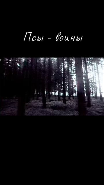 Фильм "Псы-воины" смотреть онлайн