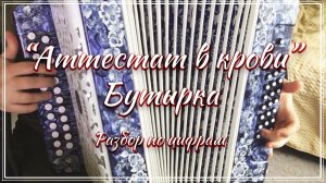"Аттестат в крови" (Бутырка) / Разбор на гармони по цифрам