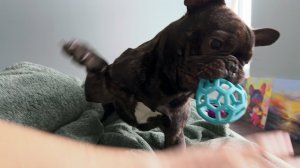 Часть 40. Приставучка Егор требует игр с самого утра