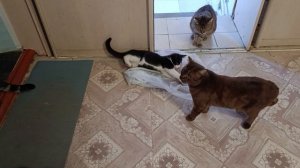 Снегурочка