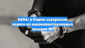 SANA: в Сирии задержали одного из высокопоставленных лидеров ИГ