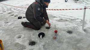 Основной водоём. Дуплет.