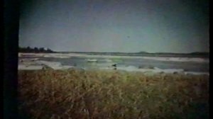 Проблемы охотничьего туризма  ч.1. Всеволод Васильевич Воробьев и Иван Дмитриевич Ильин КНТ РГО СПб