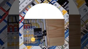 1000043479.mp4 (Собака наблюдает за лайфхаками при строительстве дома А-фрейм)