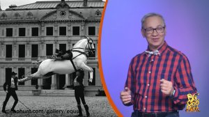 Всё обо всём. Конный балет. Выпуск от 25.12.25