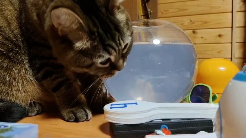 Как быстро убраться к Новому году!