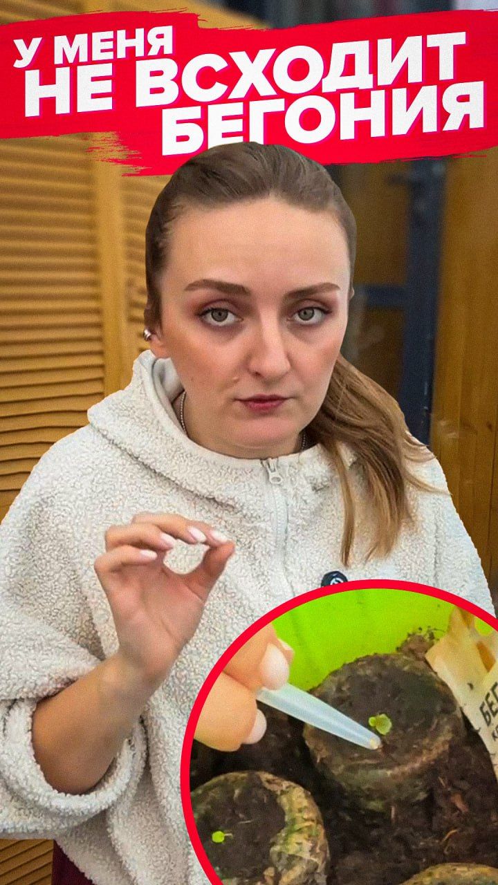 ТРУДНОСТИ ВЫРАЩИВАНИЯ БЕГОНИЙ смотреть онлайн