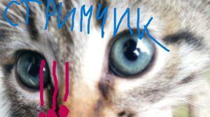 Просто Стрим про игры