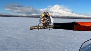 ЗАПОВЕДНОЕ ЧУДО | Новости Камчатки | Масс Медиа