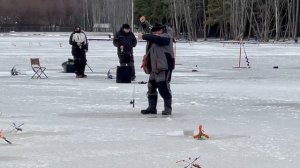 Поимки форели после запуска.