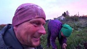 Один день из жизни в деревне (сентябрь 2023).Омская деревня.