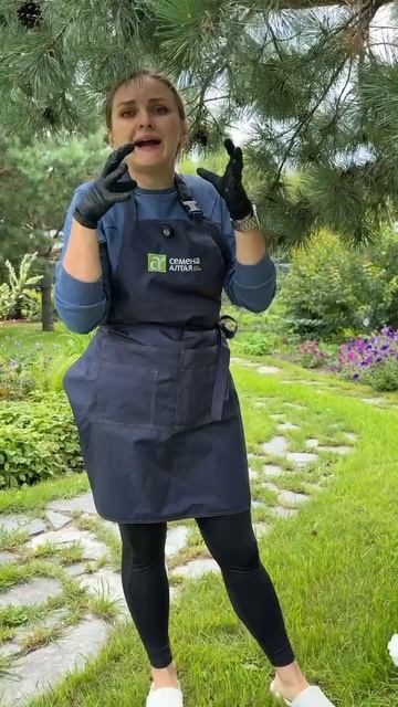 БАЗЬЗАМИН АМПЕЛЬНЫЙ БИКОН F1 смотреть онлайн