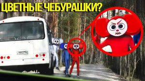 Когда вы увидите этот автобус ЦВЕТНЫХ ЧЕБУРАШЕК, не проезжайте мимо него! **БАНДА ЧЕБУРАШЕК**