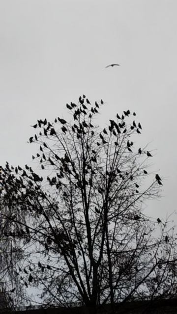 PXL_20251225_142011972