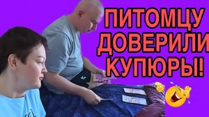ПИТОМЦУ ДОВЕРИЛИ ДЕНЬГИ? ПИРАТСКАЯ ЖИЗНЬ. ОБЗОР.