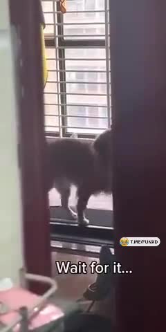 Когда отключил полный привод😁 смотреть онлайн