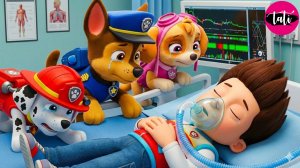 Щенячий патруль и Маршалл. Залипательное видео. Мультфильм для детей и малышей. Анимация 17