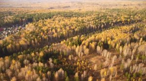 Золотая осень с высоты птичьего полёта.