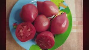 СКИДКИ на СЕМЕНА! Набор семян томатов № 2. т. 89229284031