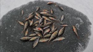 Неужели - первый лёд!