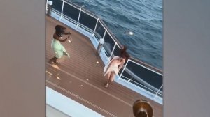 Невероятные Моменты Человека и Природы