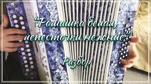 Ромашка белая, лепесточки нежные / Подробный разбор по цифрам смотрите на моем сайте