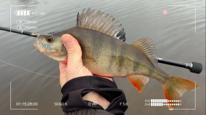 Оставил резину дома и поехал на рыбалку