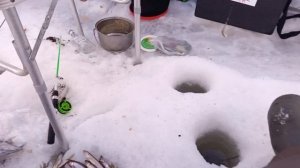 Блесна Гусеница Большая UV от Mr.Musurok в деле 🎣